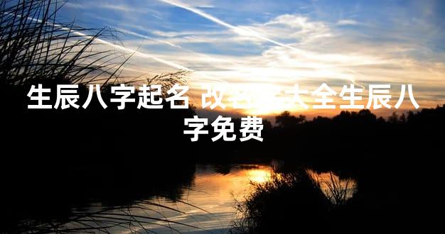 生辰八字起名 改名字大全生辰八字免费